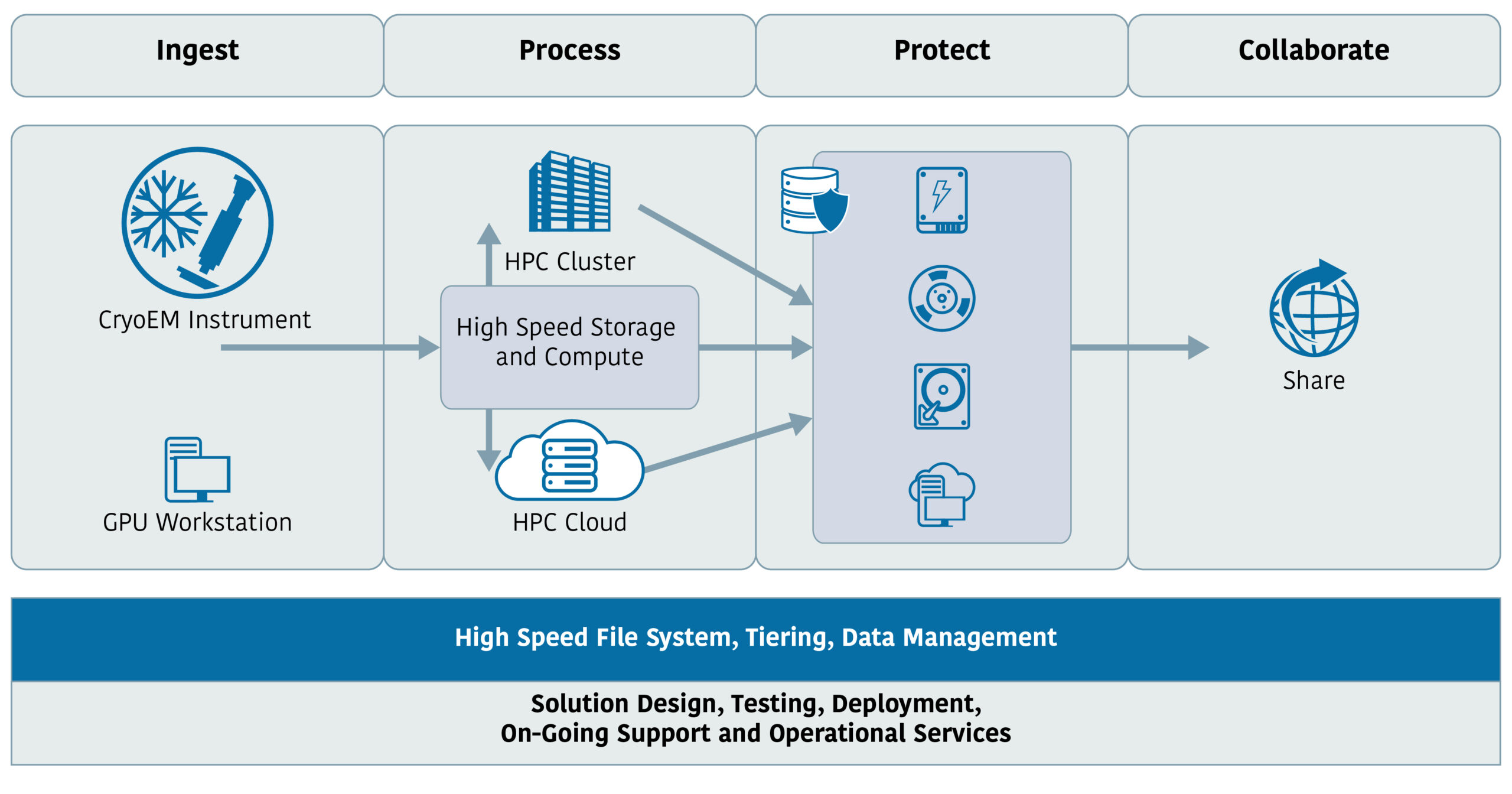 XENON Cryo-EM Workflow Infographics Concepts