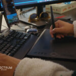 XENON Spectrum Films Lumina 2025