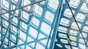 Connections XENON for Startups banner 2026